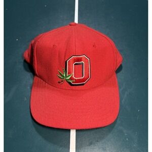VTG Ohio State Buckeyes Wool Blockhead Snapback Hat Cap Pro Star‎